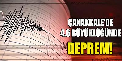 Çanakkale'de 4.6 büyüklüğünde deprem 