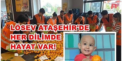 LÖSEV satsuma mandalinası Ataşehir’de. Her dilimde hayat var!